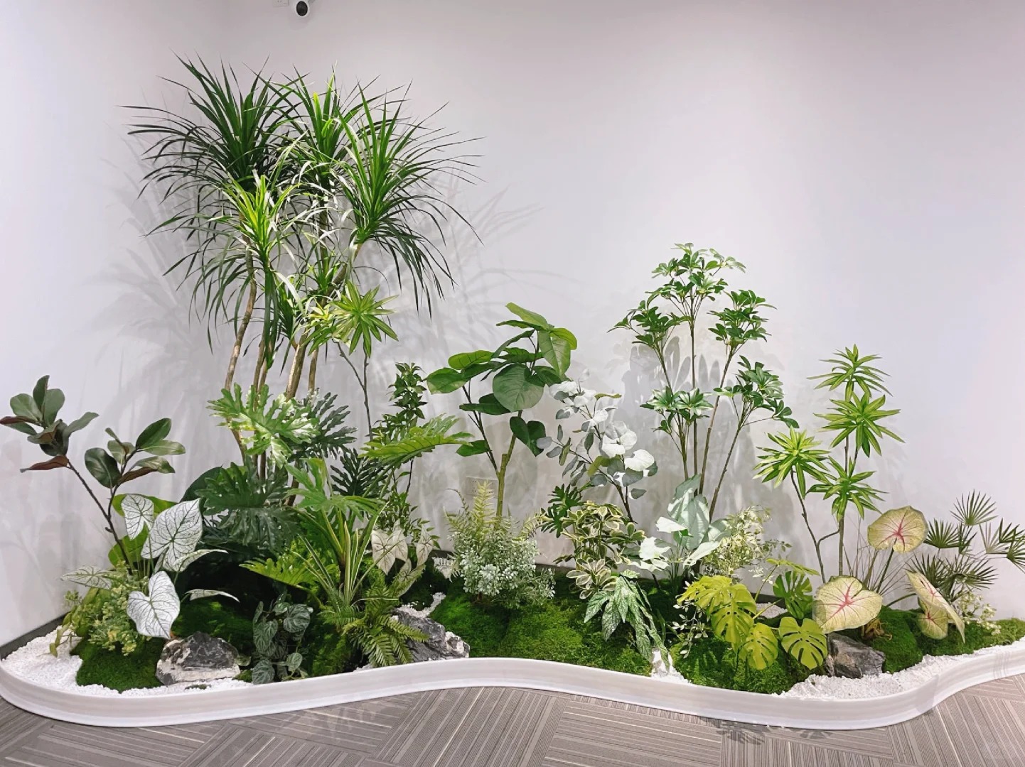 余姚植物租赁公司,解锁室内绿植租赁新体验